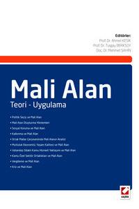 Mali Alan Teori – Uygulama