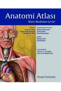 Anatomi Atlası (Gılroy)
