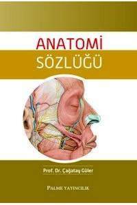 Anatomi Sözlüğü