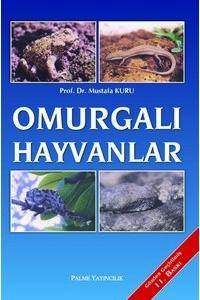 Omurgalı  Hayvanlar