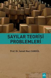 Sayılar Teorisi