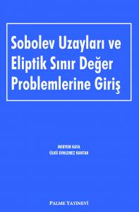 Sobolev Uzayları Ve Eliptik Sınır Değer Problemlerine Giriş