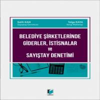 Belediye Şirketlerinde Giderler, İstisnalar Ve Sayıştay Denetimi (Güncellendi)