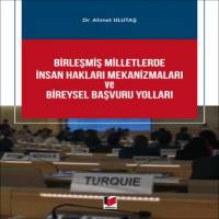 Birleşmiş Milletlerde İnsan Hakları Mekanizmaları Ve Bireysel Başvuru Yolları