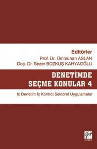 Denetimde Seçme Konular 4 İç Denetim İç Kontrol Sektörel Uygulamalar