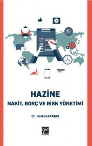 Hazine Nakit, Borç Ve Risk Yönetimi