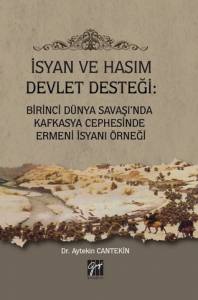 İsyan Ve Hasım Devlet Desteği: Birinci Dünya Savaşı'nda Kafkasya Cephesinde Ermeni İsyanı Örneği