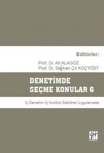 Denetimde Seçme Konular 6