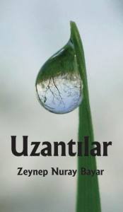 Uzantılar