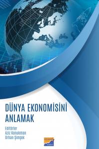 Dünya Ekonomisini Anlamak