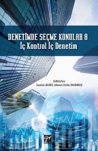 Denetimde Seçme Konular 8 İç Kontrol İç Denetim