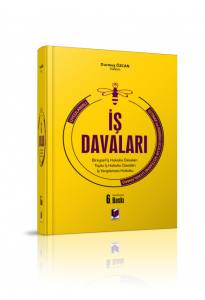 Uygulamalı İş Davaları