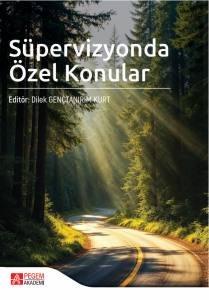 SÜPERVİZYONDA ÖZEL KONULAR