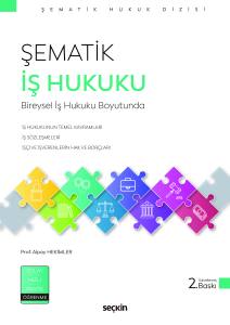 Şematik İş Hukuku Bireysel İş Hukuku Boyutunda
