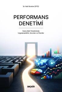 Performans Denetimi Kamu Mali Y&ouml;netiminde Uygulanabilirlik, Sorunlar ve &Ouml;neriler