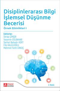 Disiplinlerarası Bilgi İşlemsel D&uuml;ş&uuml;nme Becerisi