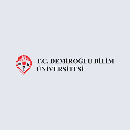 Demiroğlu Bilim Üniversitesi
