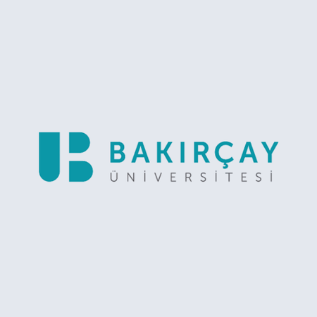 İzmir Bakırçay Üniversitesi