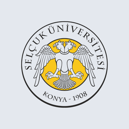 Selçuk Üniversitesi